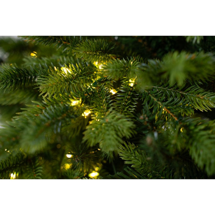 Albero Di Natale Darsy Led Con Tronco Integrato Xone