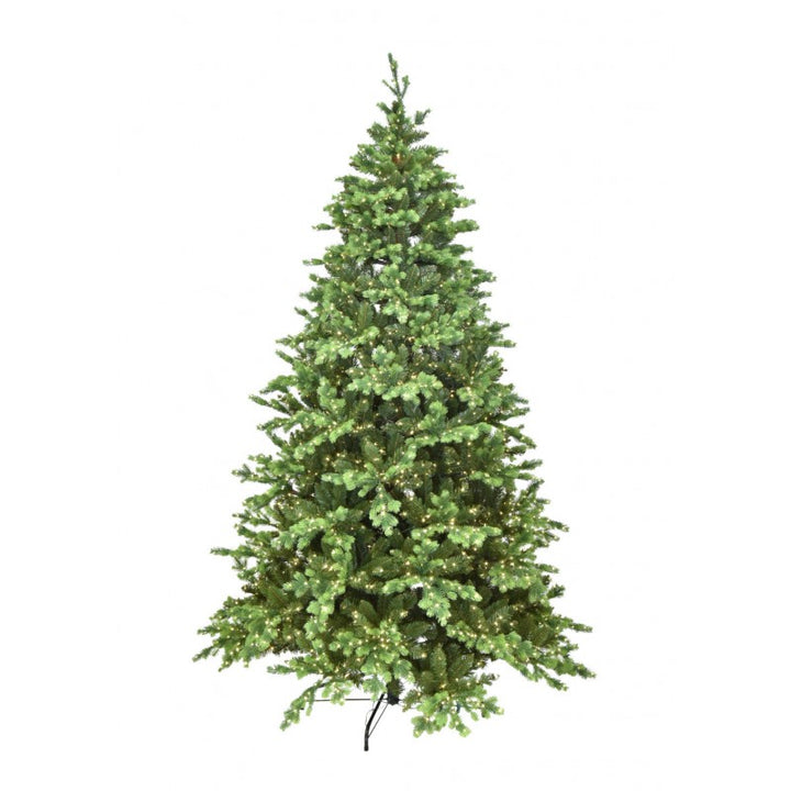 Albero Madison Led