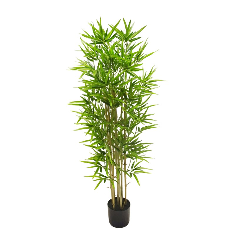 Pianta Bamboo Artificiale In Vaso