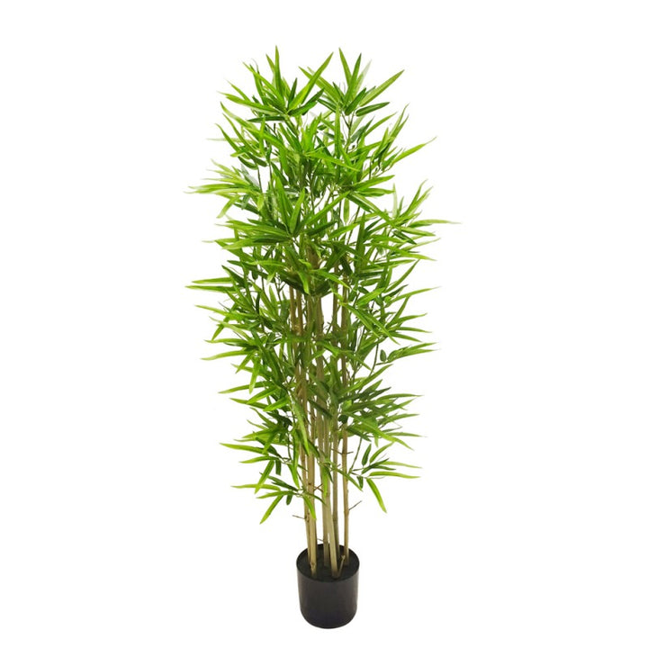 Pianta Bamboo Artificiale In Vaso