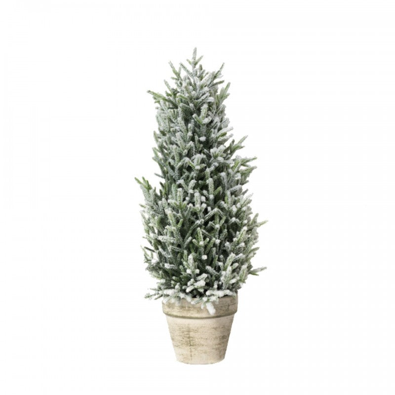 Pinetto con vaso Topiary Xone