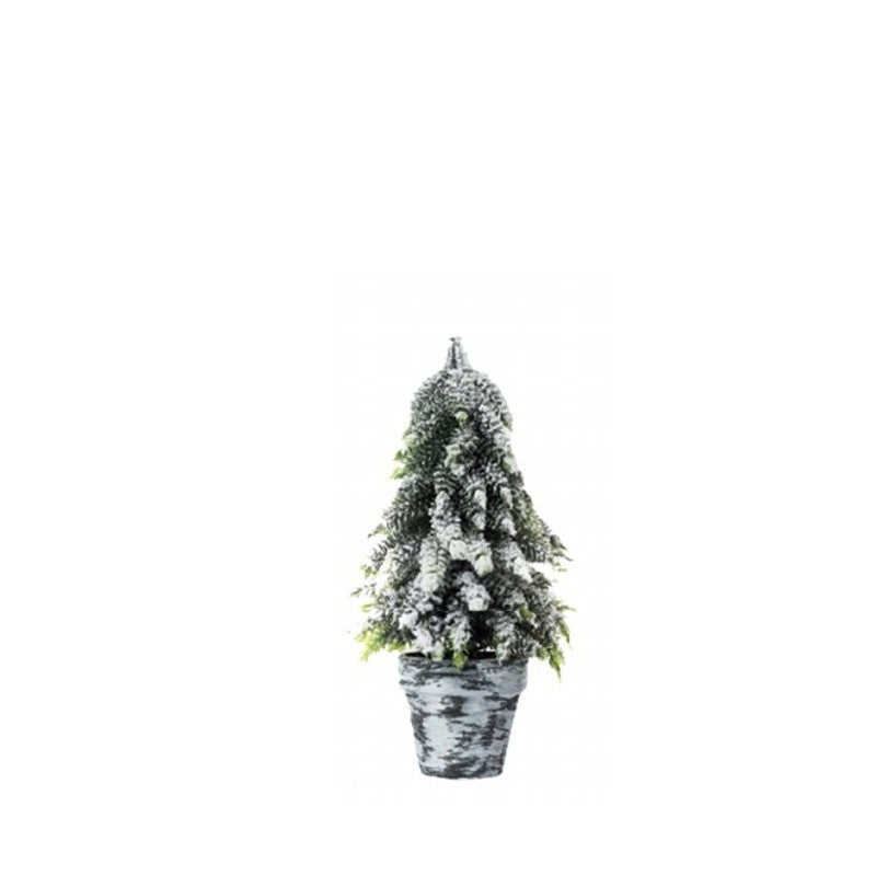 Pinetto con vaso Topiary Xone